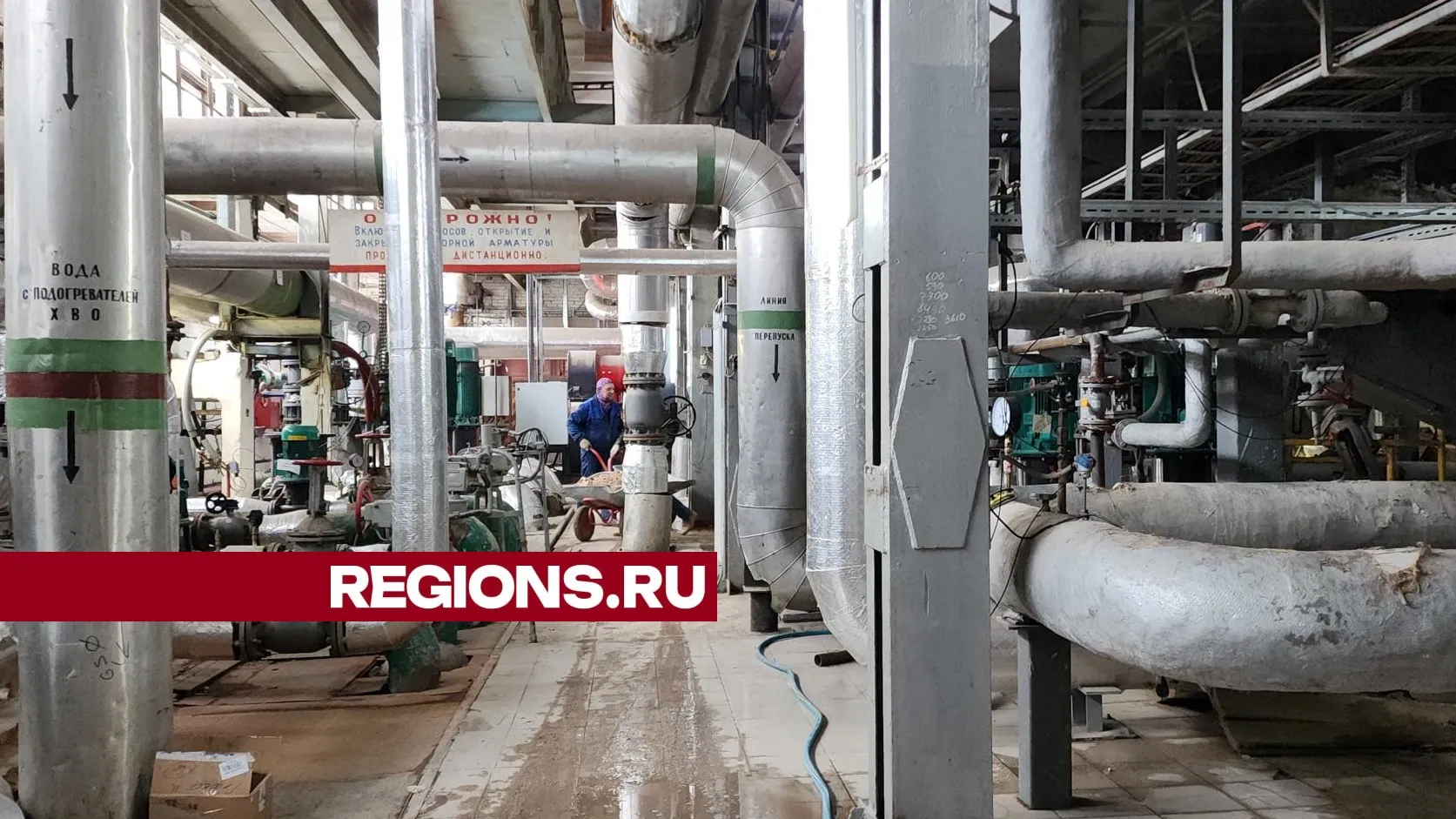 Фото: Нина Басистая