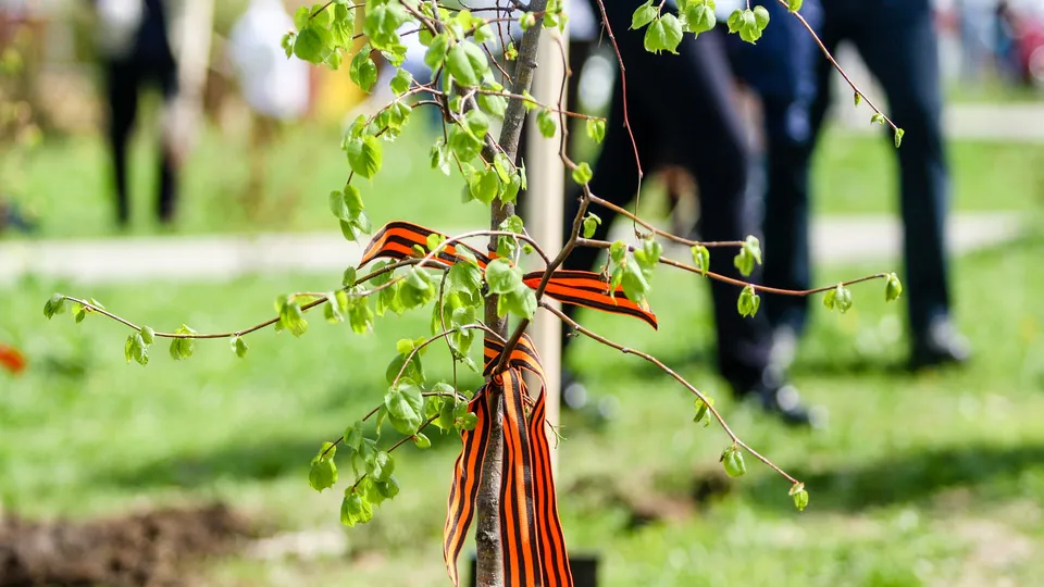 Фото: пресс-служба администрации г.о. Кашира