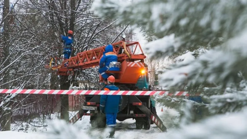 Пресс-служба Дмитрия Пестова