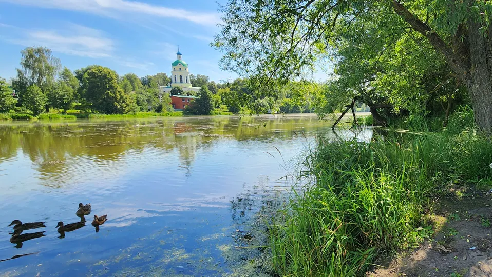 Фото: REGIONS/Наталья Дорошева