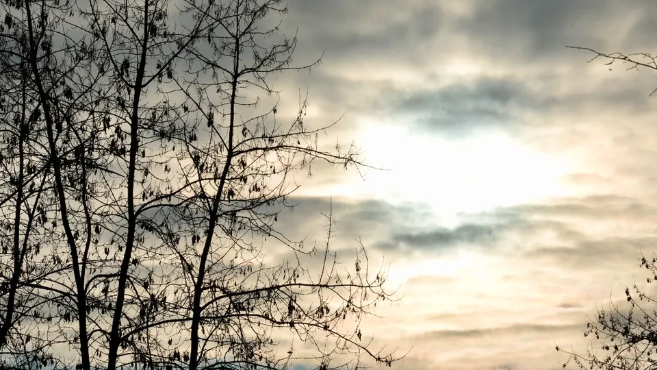 Фото: МедиаБанк Подмосковья/Дмитрий Зайчиков