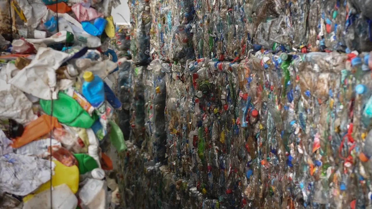 Названы недостатки выбора государственной компании для уборки мусора