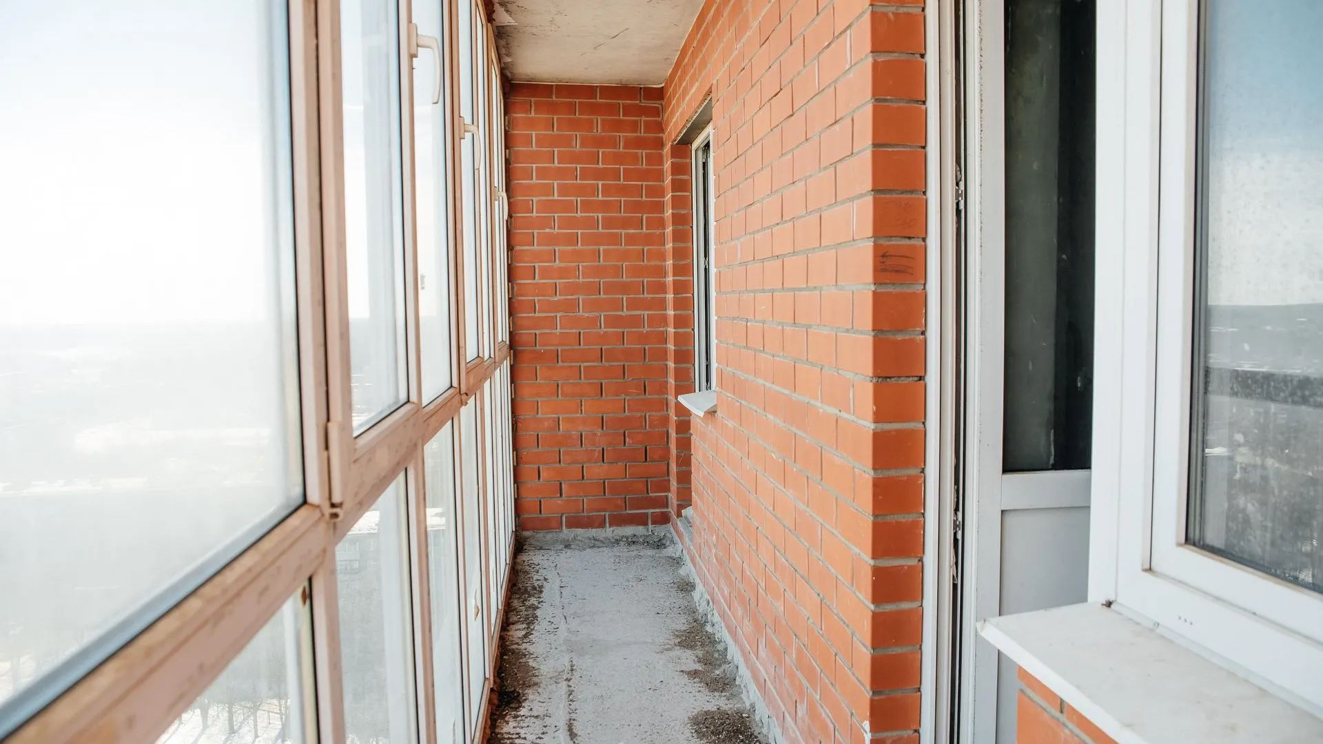 Фото: Пресс-служба губернатора Московской области