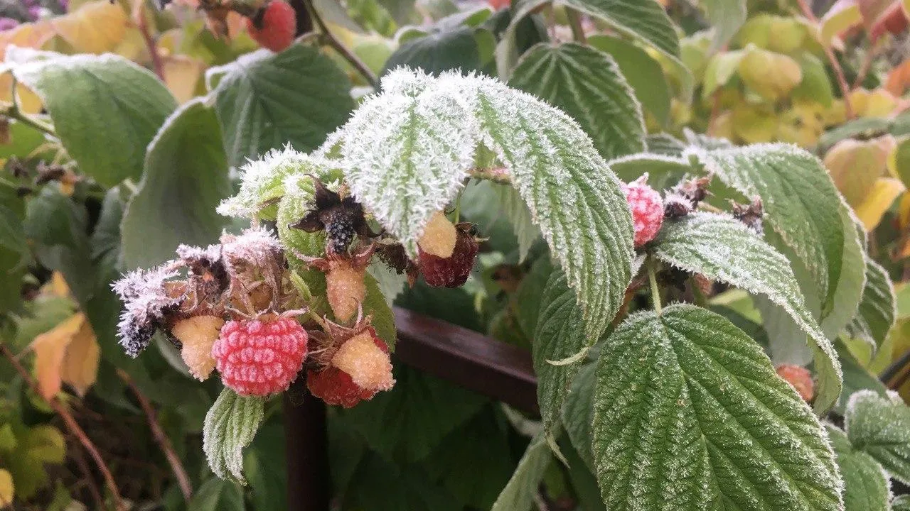 Фото: Наталья Сингатуллина