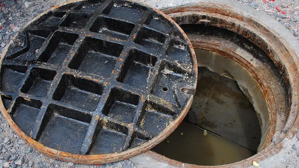 Фото: istockphoto.com/Joel Carillet