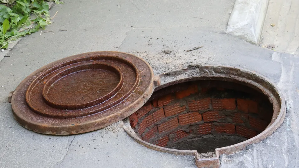 Фото: МедиаБанк Подмосковья/Евгений Савин