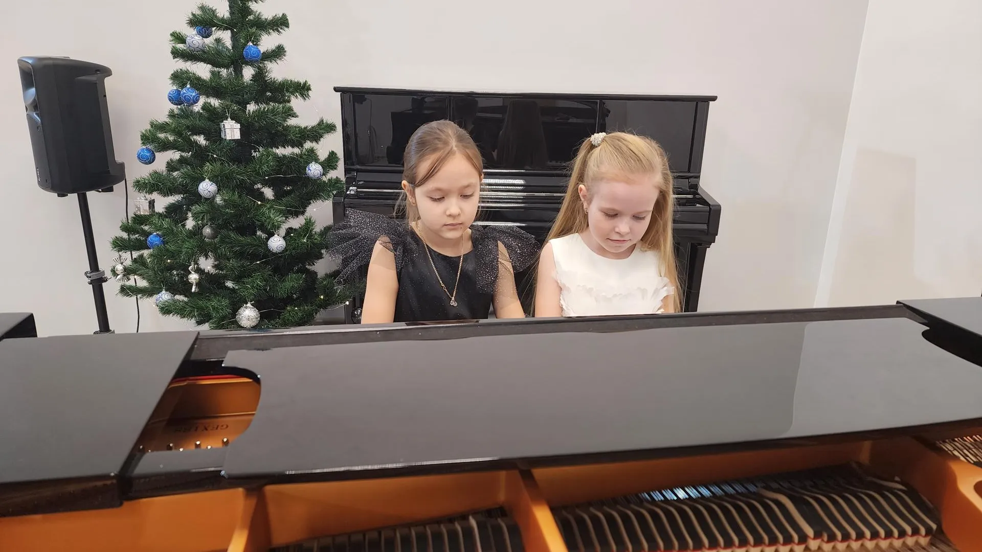 Светлана Плотникова