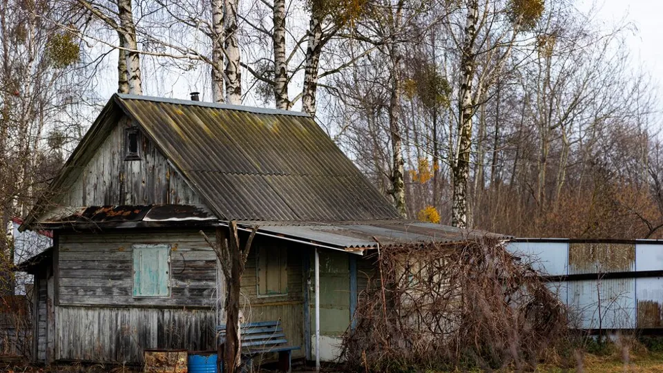 Фото: freepik.com