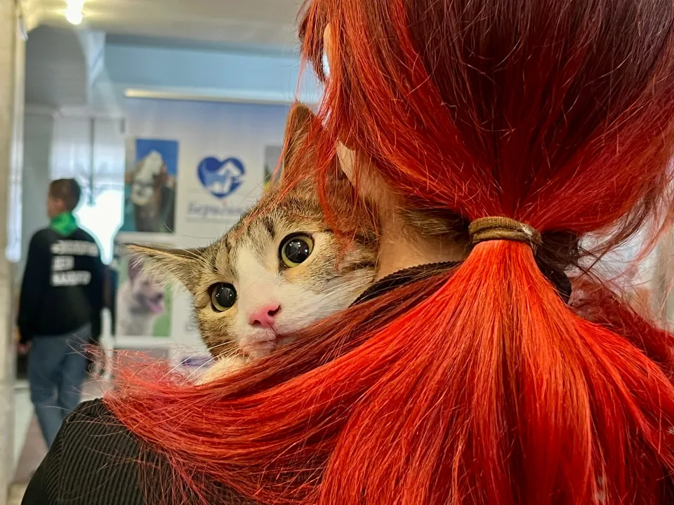 Фото: МедиаБанк Подмосковья/Анна Тюрюмина