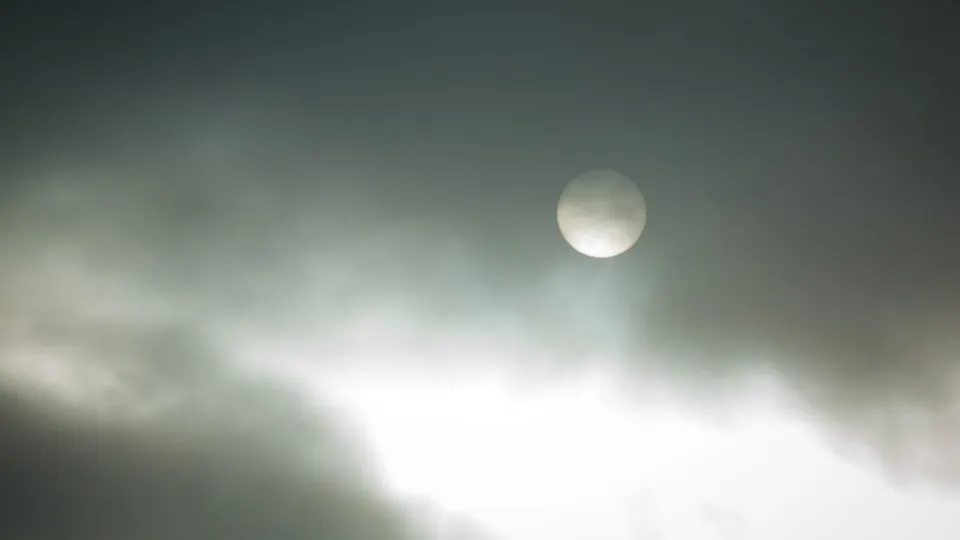 Фото: REGIONS/Владимир Ерастов