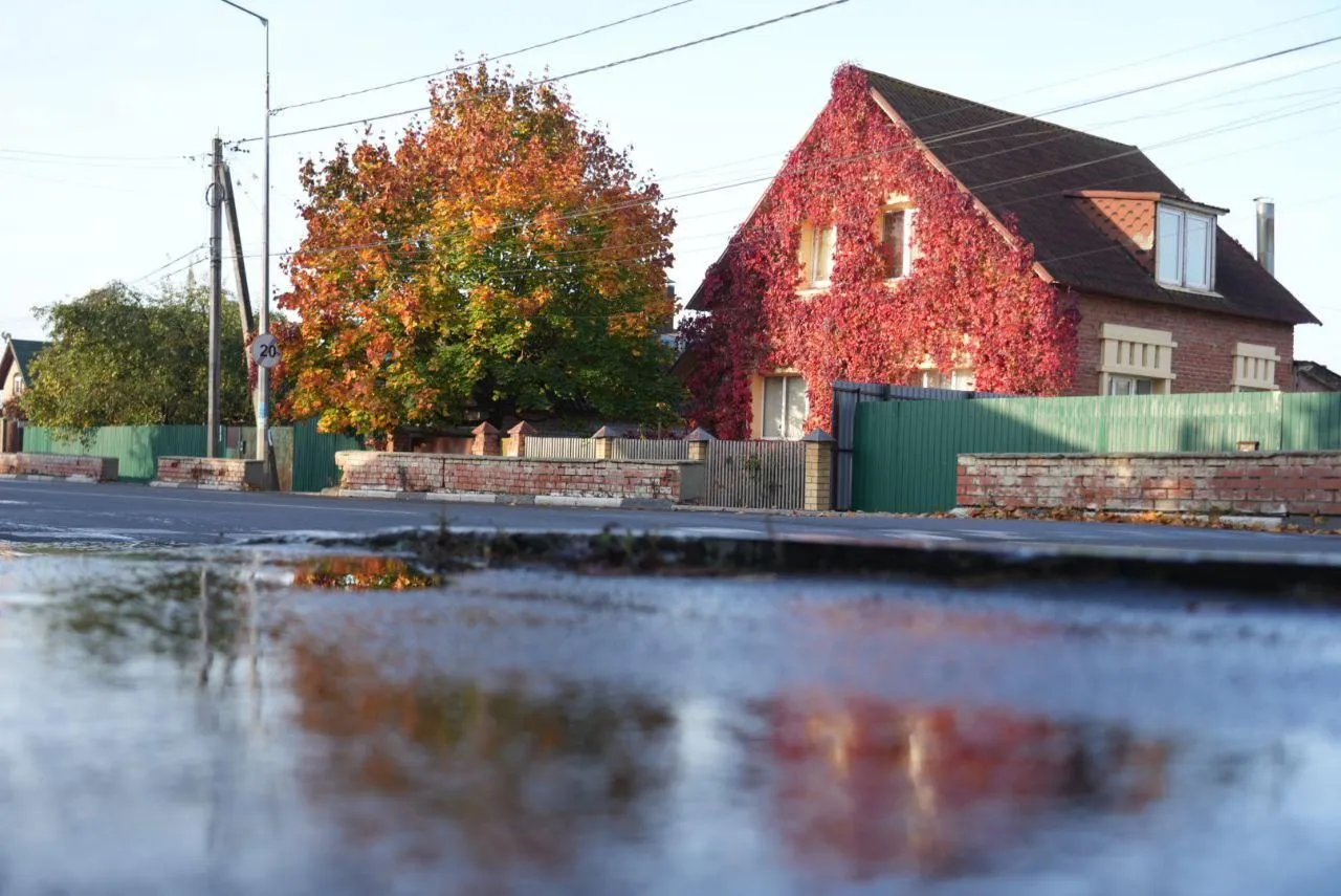 Дмитрий Зайчиков