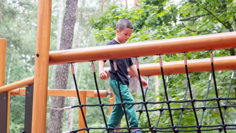 Фото: Министерство благоустройства Московской области