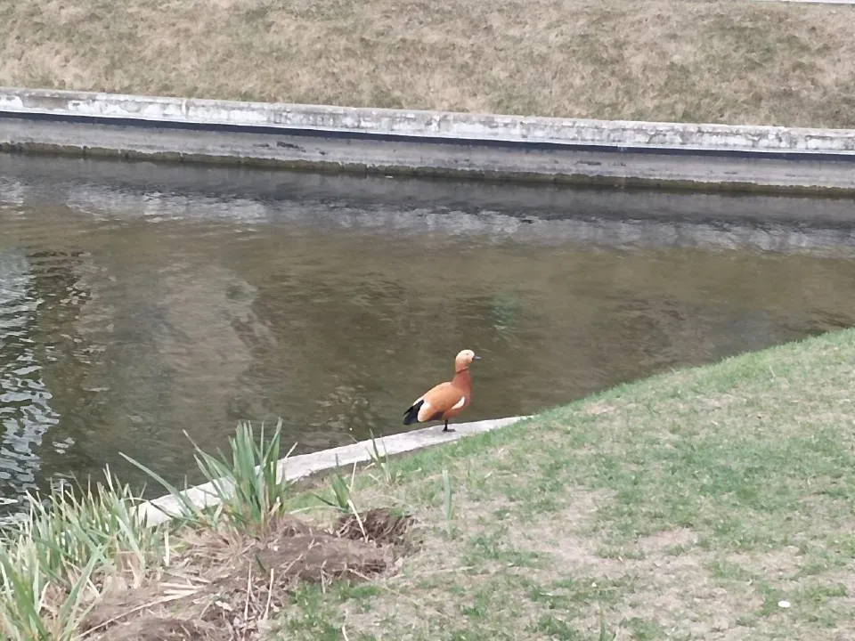 Фото: Олег Семенов