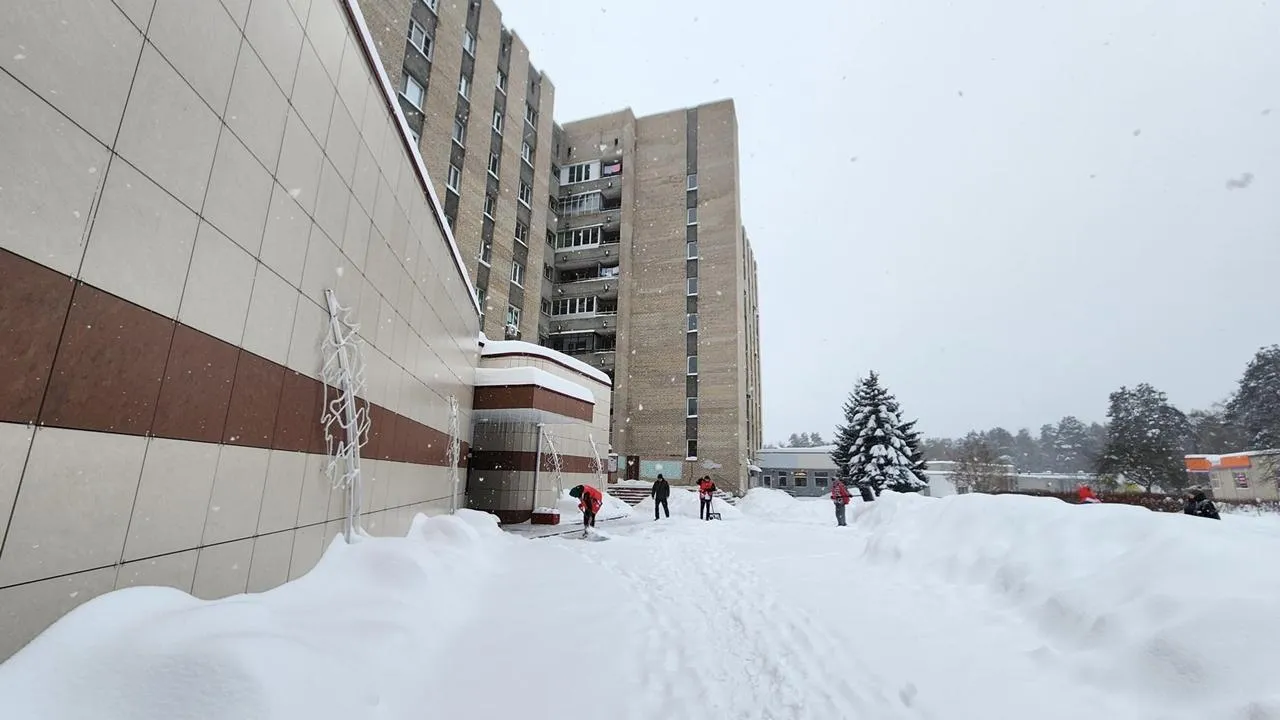 REGIONS/Анна Мороз