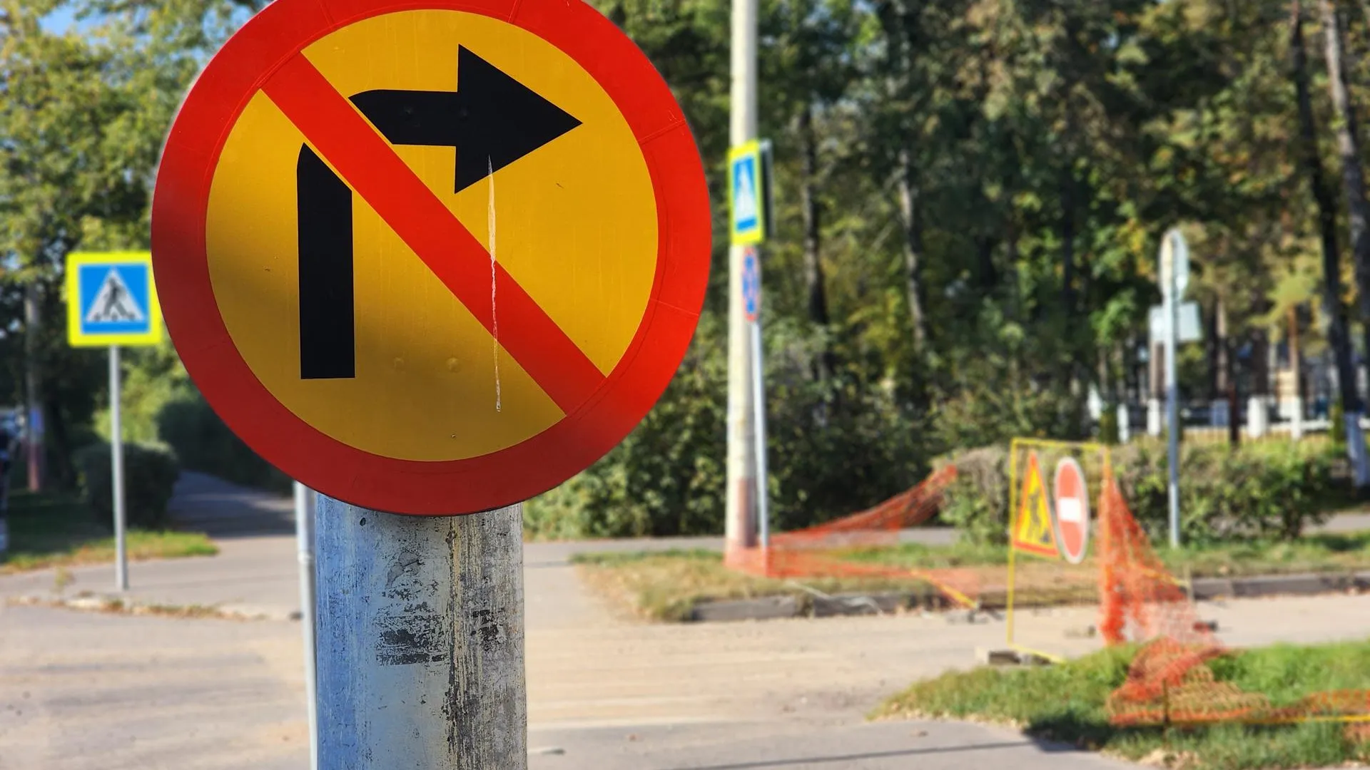 Фото: REGIONS/Полина Пахомова