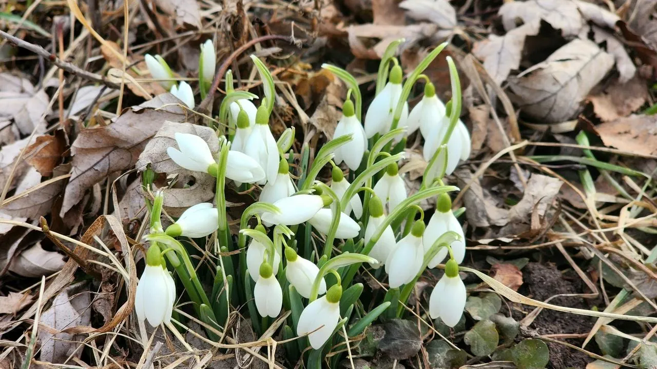 МедиаБанк Подмосковья/Мария Панина