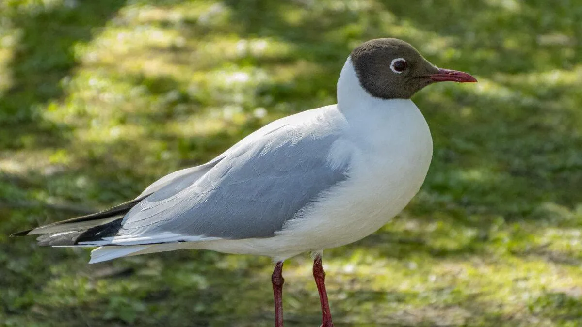 Фото: издание «Подъем».