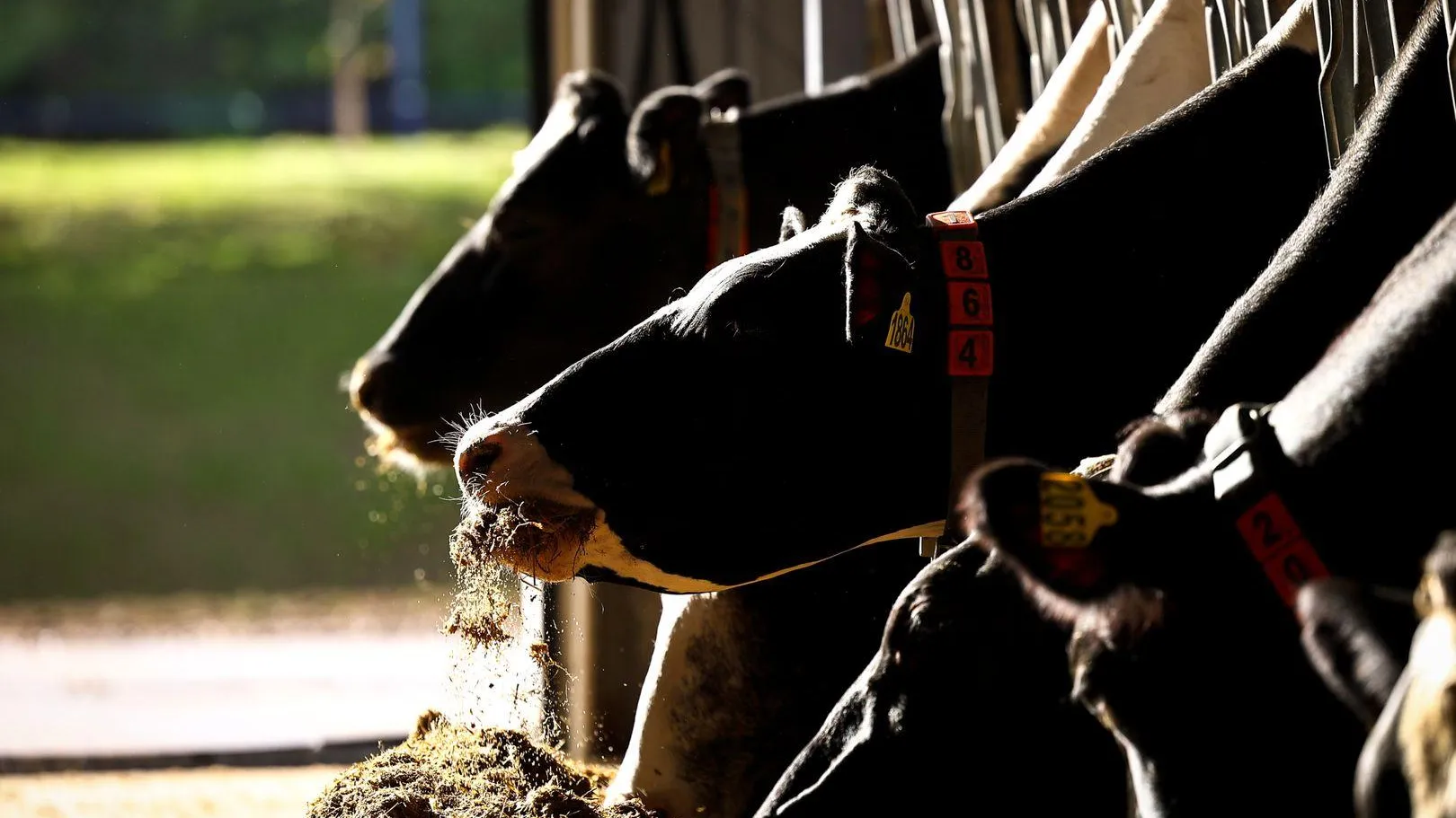 Медиасток.рф