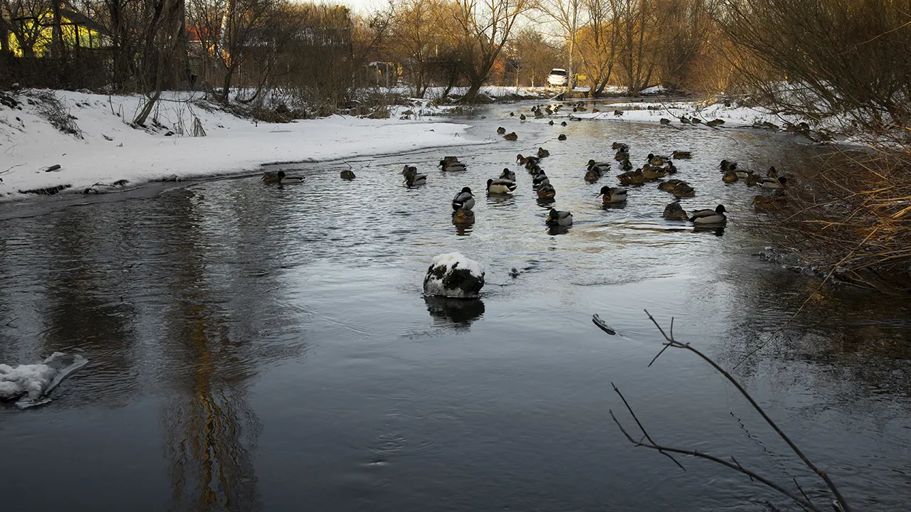 Фото: freepik.com