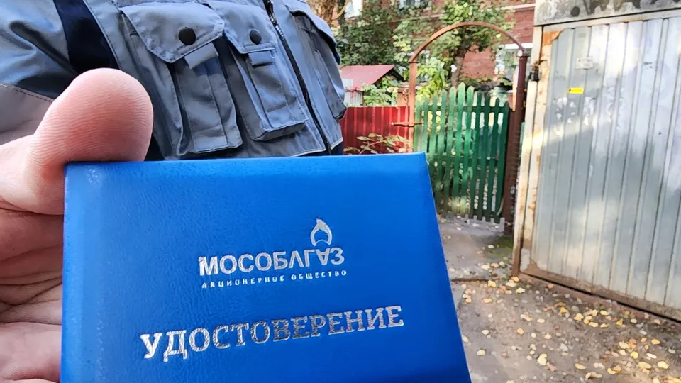 Фото: МедиаБанк Подмосковья/Никита Сморкалов