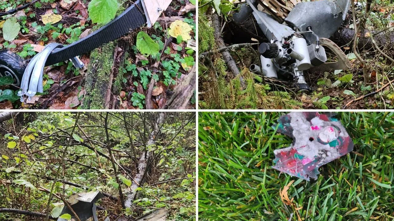 Фото: Татьяна Витушева / Telegram