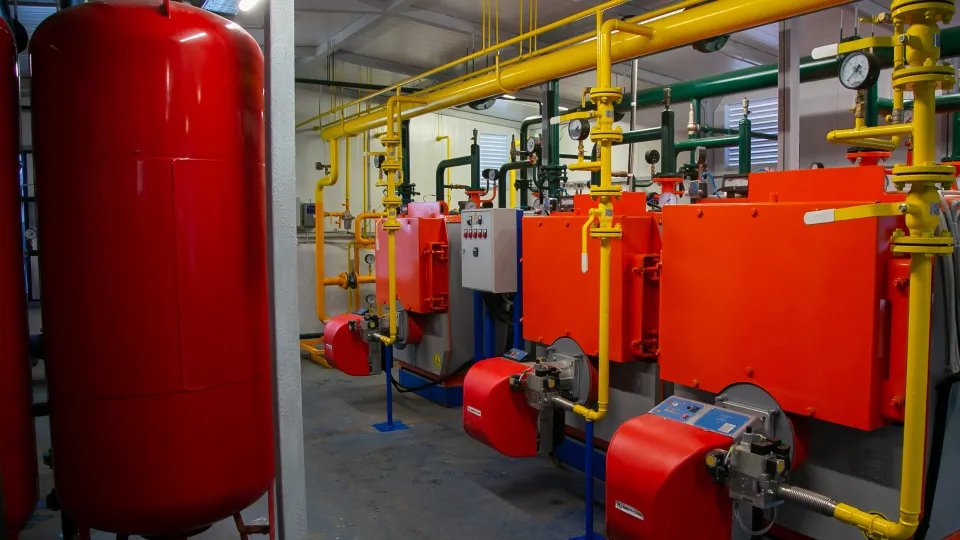 Фото: пресс-служба администрации г.о. Коломна