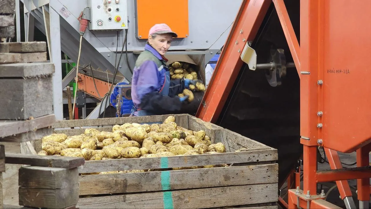 Евгений Рой