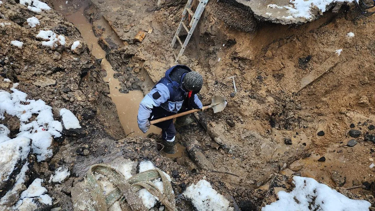 МедиаБанк Подмосковья/Екатерина Данилина