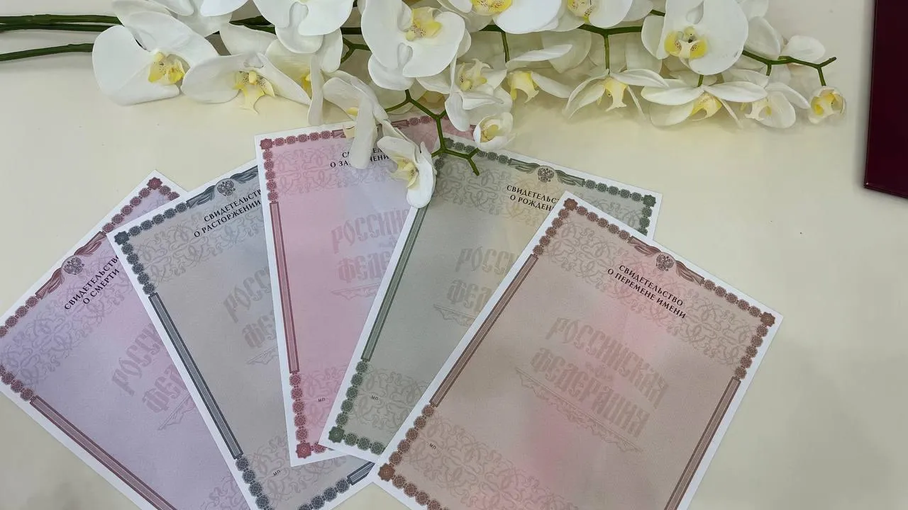 Фото: Министерство социального развития МО