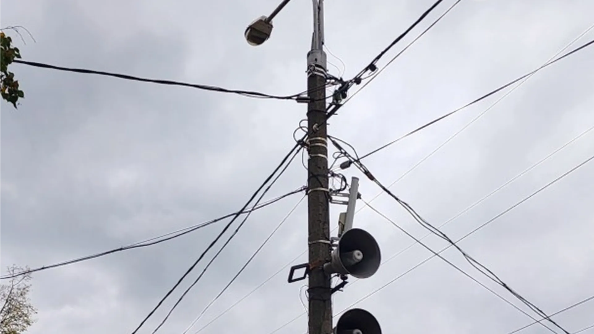 Фото: медиасток.рф