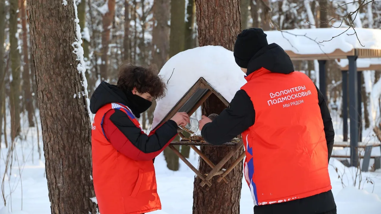 Фото: М. Алиев