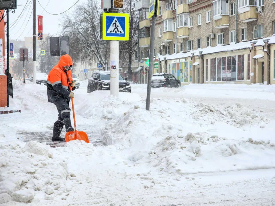 Фото: МедиаБанк Подмосковья/Мария Андрюхина