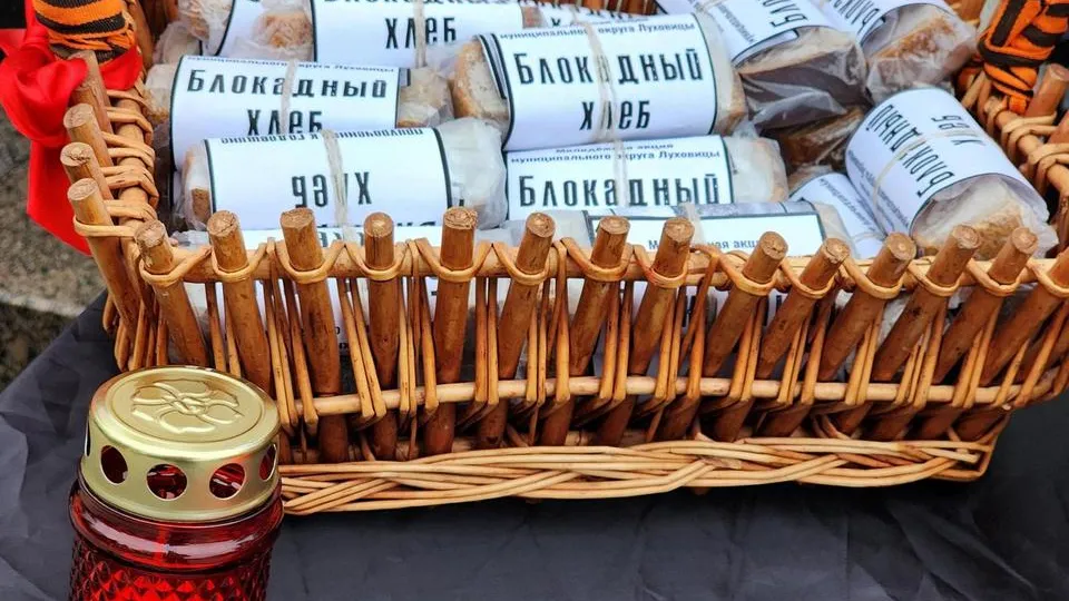 Фото: МедиаБанк Подмосковья/Юлия Скавронова