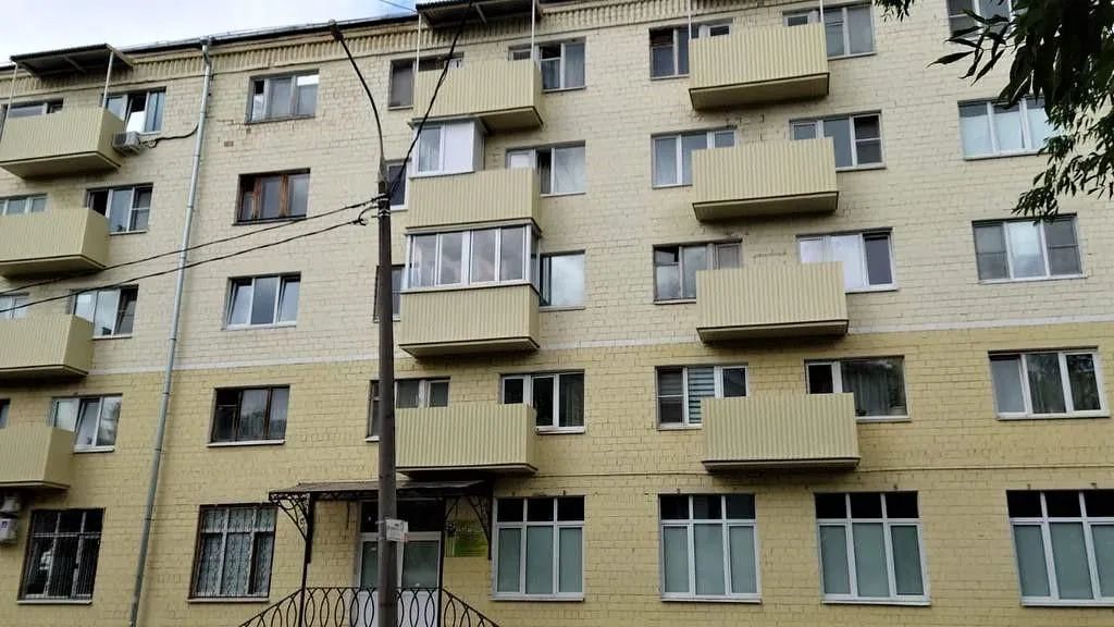 Фото: пресс-служба администрации г.о. Фрязино