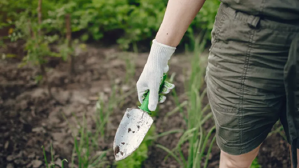 Фото: freepik.com