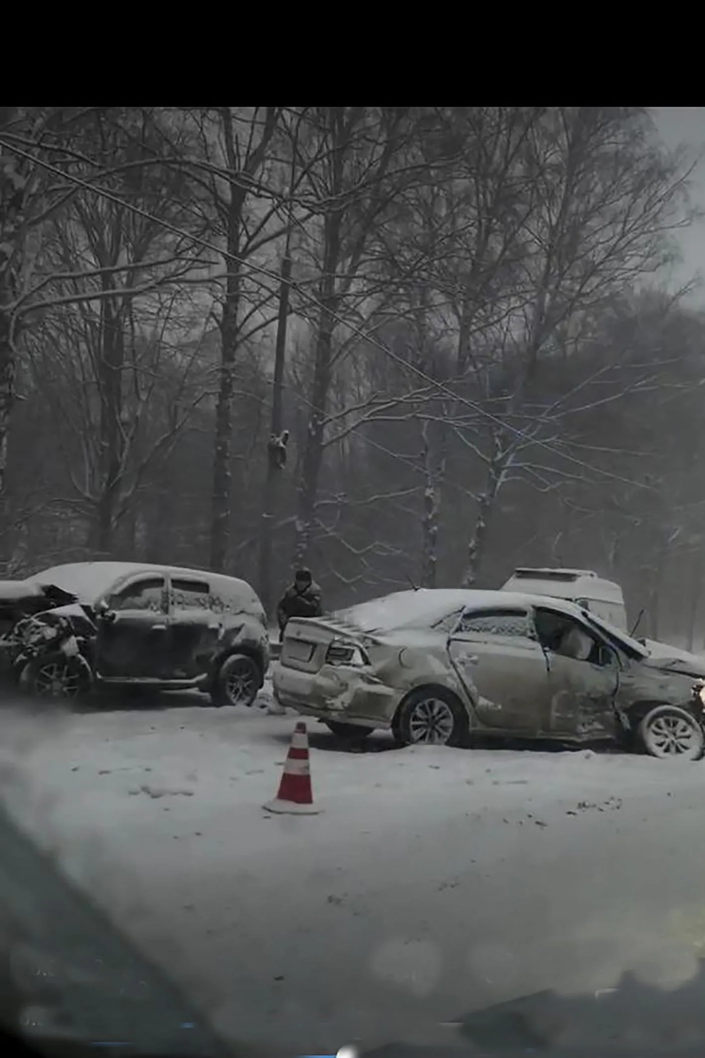 Фото https://vk.com/chp.dmitrov