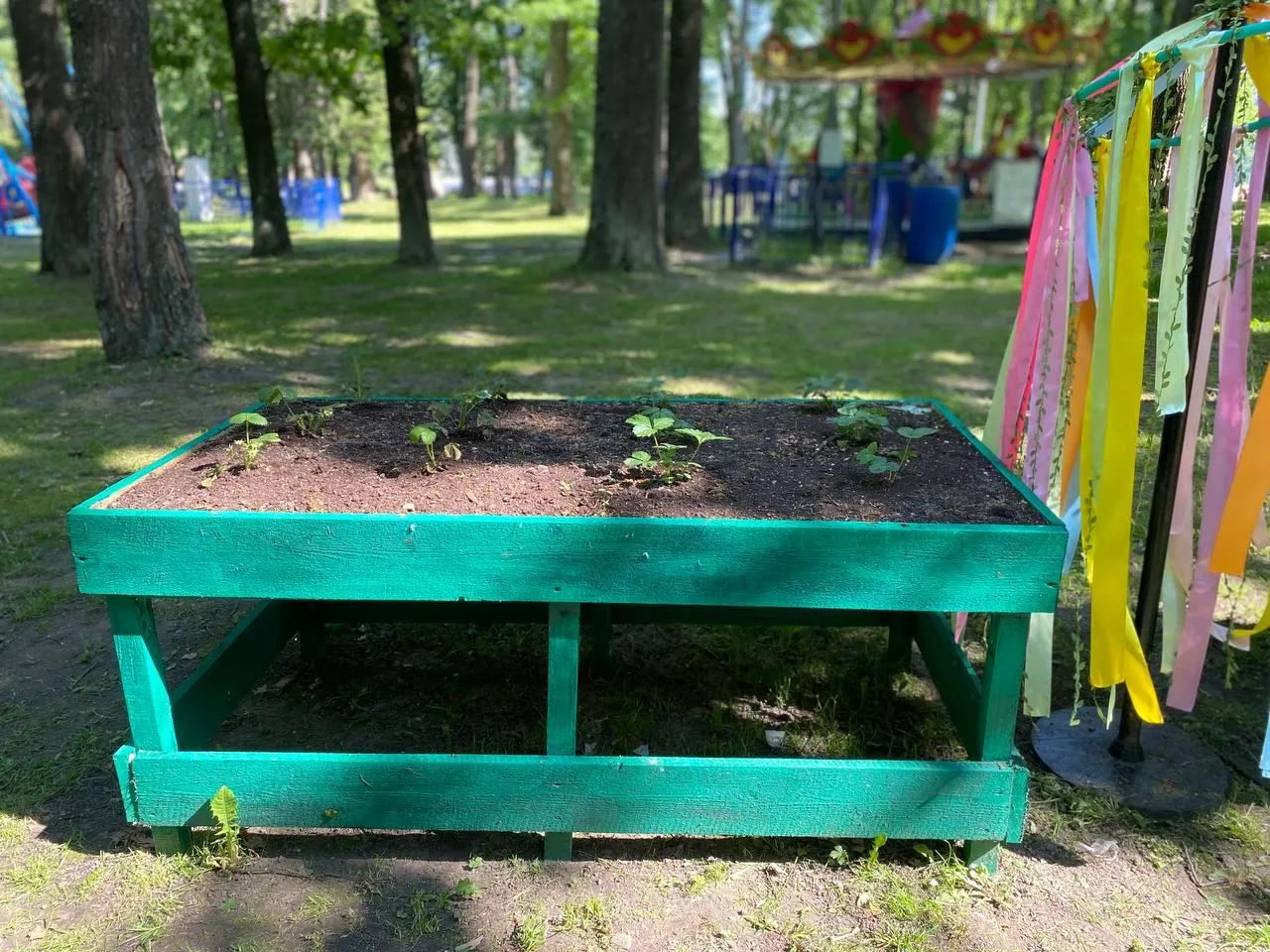 Фото: t.me/mbykrgoodpark