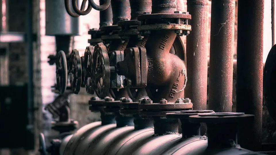 Фото: unsplash.com