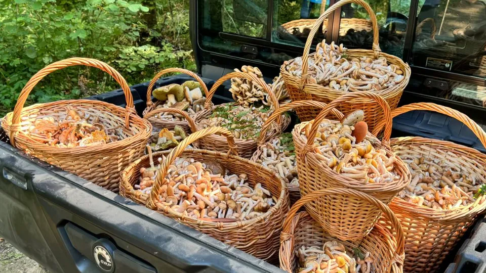 Фото: t.me/mariiaazar3nkova