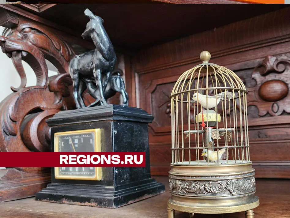 Фото: Валерия Тингаева