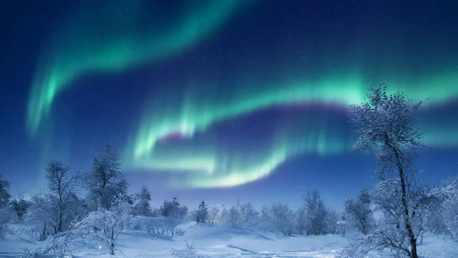 Фото: REGIONS/Сгенерировано нейросетью