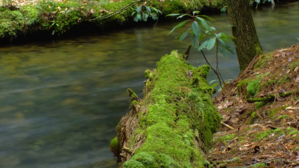 Фото: pxhere.com