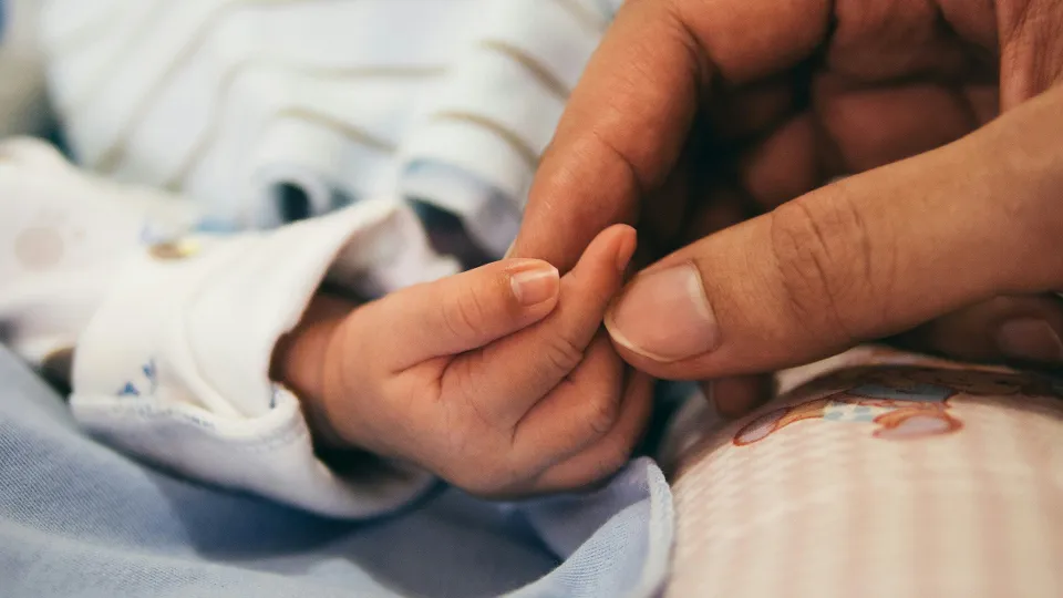 Фото: unsplash.com