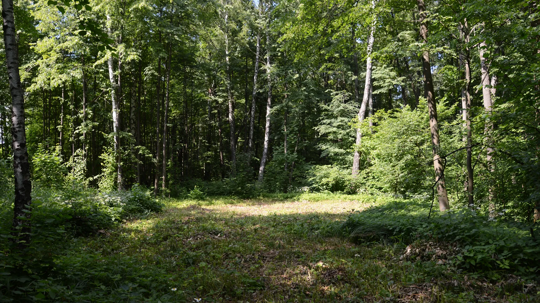 Фото: Нина Соколова