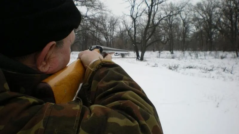 Двух овчарок, гулявших с хозяйкой, застрелили в Подмосковье