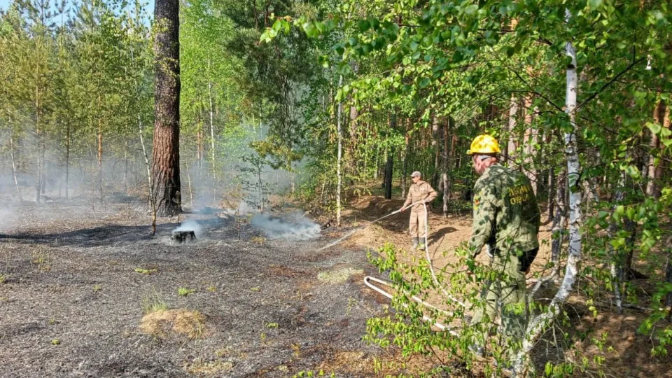 Фото: t.me/mosoblcomles