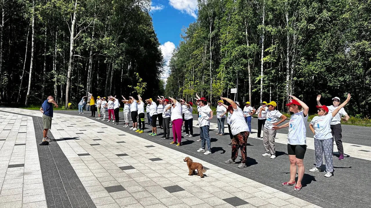 Фото: t.me/aktivelektrostal