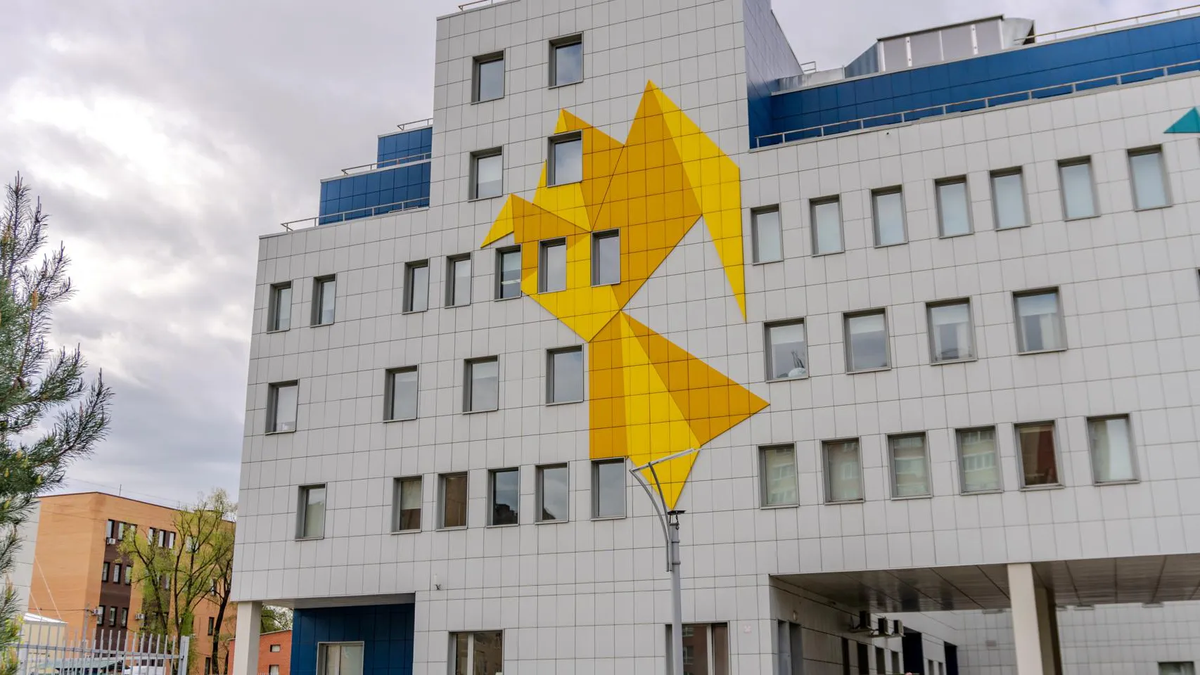 Фото: Щелковский перинатальный центр