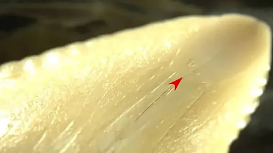 Фото: arkeonews.net