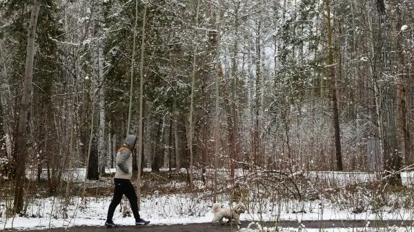 Синоптики: в начале следующего месяца не стоит ждать прихода весны